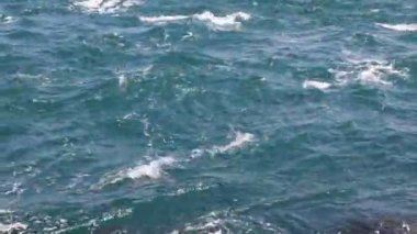 Dalgalı deniz. Rüzgarlı bir günde deniz yüzeyi. Güçlü dalgalar 4K video. Dalga gücü konsepti 4k video.