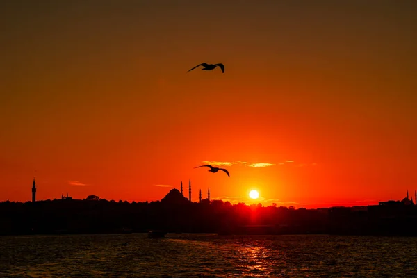 Istanbul view. Seagulls and silhouette of cityscape of Istanbul at sunset. Travel to Istanbul or ramadan or islamic background photo.