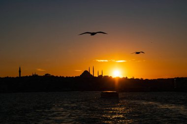 Gün batımında martılar ve camilerle İstanbul 'un silueti. İstanbul manzarası gün batımında. Ramazan veya İslami konsept fotoğrafı.