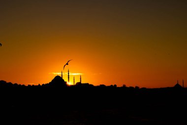 Suleymaniye and Fatih Mosque silhouettes with seagull at sunset. Ramadan or islamic background photo. Travel to Istanbul concept.