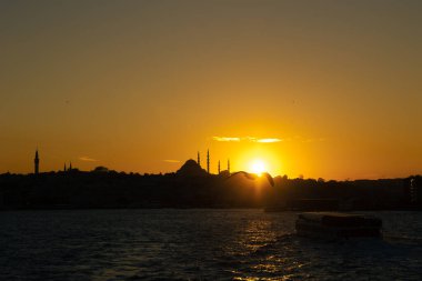 Istanbul photo. Silhouette of Istanbul and seagull at sunset. Suleymaniye Mosque silhouette and sun. Ramadan or islamic concept photo.