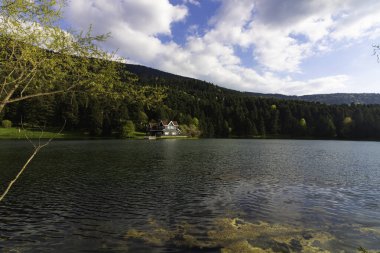 Bolu Golcuk Nature Park and famous lake house in the spring. Travel to Turkiye or famous places of Turkey. Bolu Turkiye - 5.15.2022