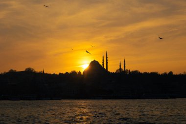 Silhouette of Suleymaniye Mosque with seagulls at sunset. Travel to Istanbul background photo. Ramadan or islamic or laylat al-qadr or kadir gecesi concept photo.