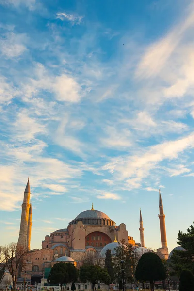 Hagia Sophia Vertical Photo Ayasofya Mosque Sunrise Morning Landmarks Istanbul — Stock Photo, Image