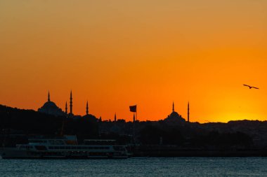 Günbatımında İstanbul 'un silueti. Martı ve feribotlu Süleyman ve Fatih camileri. İstanbul konsept fotoğrafına git. Ramazan veya İslami arkaplan.
