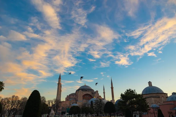 Hagia Sophia Birds Dramatic Clouds Sunrise Morning Ayasofya Mosque Istanbul — Stock Photo, Image