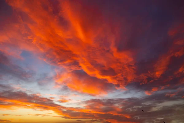 Cloudscape Sunset Orange Clouds Sunset Sunrise Earth Day Background Concept — Stock Photo, Image