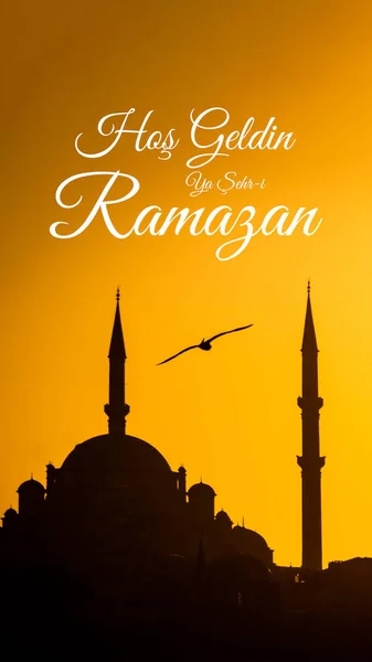 Hos Geldin Ramazan Vertikalt Foto Silhuett Fatih Moskén Med Mås — Stockfoto