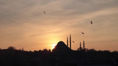 İslami arka plan. Gün batımında Süleyman Camii ve martılar. İstanbul 'a veya Ramazan' a veya İslami 4K görüntülerine seyahat.