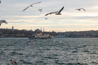 Martılar ve feribotlarla İstanbul ufuk çizgisi. İstanbul 'daki arka plan fotoğrafına git. Arka planda ünlü feribotlar ve Ayasofya.