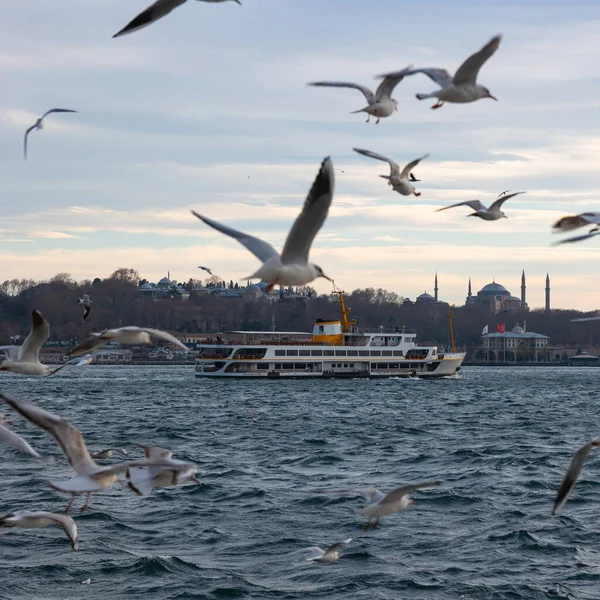 Стамбул Вид Чайки Паром Облачным Небом Путешествие Площадь Стамбула Фото — стоковое фото