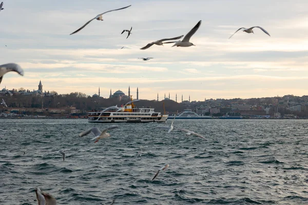 Skyline Estambul Con Gaviotas Ferry Viaje Estambul Foto Fondo Ferries — Foto de Stock