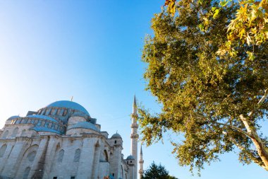 Süleyman Camii ve Ağaç. Metinler için kopyalama alanı için temiz gökyüzü içeren Ramazan veya İslami arkaplan fotoğrafı.