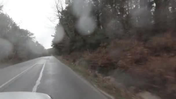 Jízda Venkovské Silnici Lese Zimě Deštivém Dni Video — Stock video