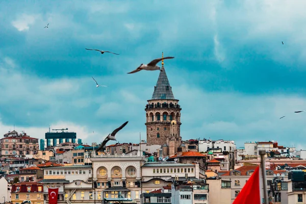 갈라타 타워와 갈매기들은 있습니다 이스탄불의 뒷배경 이스탄불 의유적 — 스톡 사진