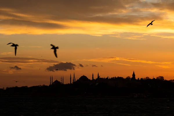 Sylwetka Stambułu Zachodzie Słońca Mewy Zabytki Istambułu Hagia Sophia Sultanahmet — Zdjęcie stockowe