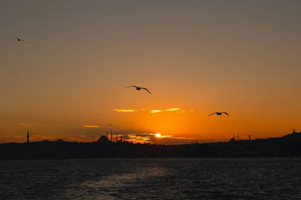Σιλουέτα Της Κωνσταντινούπολης Και Γλάροι Ηλιοβασίλεμα Φωτογραφία Φόντου Ramadan Islamic — Φωτογραφία Αρχείου