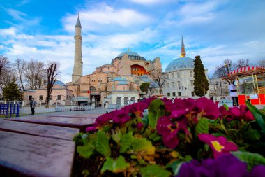 Flowers ve Ayasofya. İstanbul 'un arka plan fotoğrafını ziyaret et. İstanbul Türkiye - 3.16.2021
