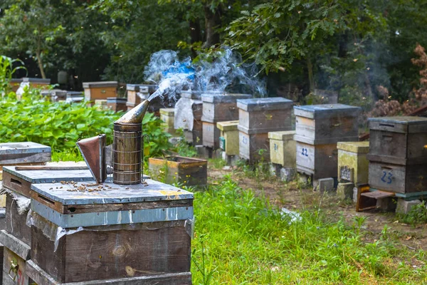 stock image Apiculture or beekeeping background photo. A bee smoker on the beehive in the apiary.