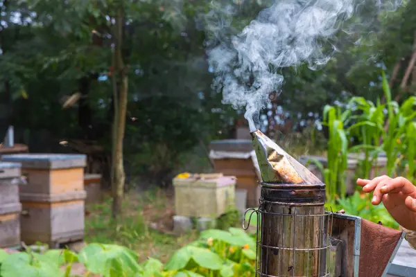 Курильщик Пчел Пасеке Фотография Пчеловодства Концепции Пчеловодства Выборочный Акцент Переднем — стоковое фото