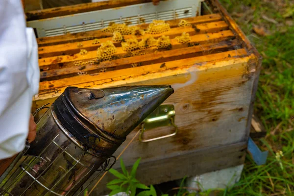 Bee smoker and beehive on the background. Apiculture or beekeeping background photo.
