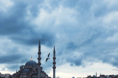 Eminonu Yeni Camii ya da Yeni Cami martı ve bulutlu bir gökyüzü. İstanbul arkaplan fotoğrafının simgeleri.