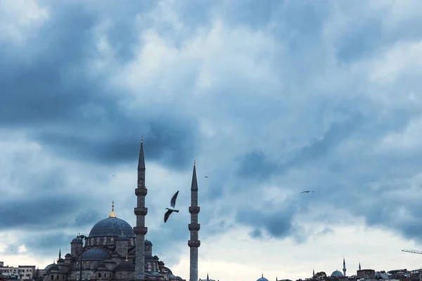 Eminonu New Mosque Yeni Cami Seagull Cloudy Sky Landmarks Istanbul — Stock Photo, Image