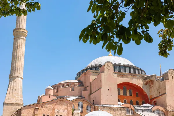 Ayasofya Camii 'nin dış manzarası. Yazın ağaçla birlikte. İstanbul 'daki arka plan fotoğrafına git.