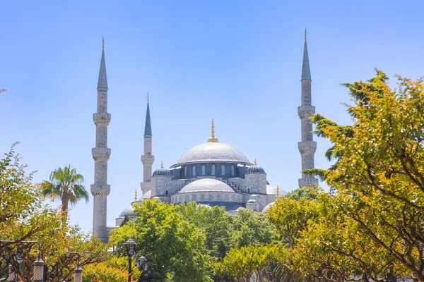 Sultan Ahmed Sultanahmet Blue Mosque Trees Daytime Landmarks Istanbul Background Stock Picture