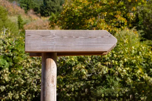Blank wooden direction sign in the forest or a park. wooden blank signpost concept photo.