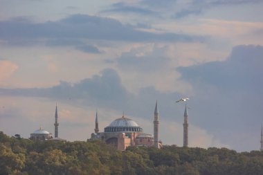 İstanbul dönüm noktası fotoğrafı. Ayasofya Camii ve dramatik bulutlu martı.