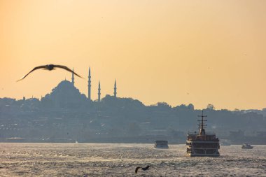 İstanbul arka plan fotoğrafı. Cami ve martının feribot ve silueti. İstanbul konseptini ziyaret et.