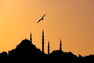 İslami arkaplan. Gün batımında Süleyman Camii 'nin silueti ve bir martı. Ramazan kareemi ya da bayram mübarek kavramı.