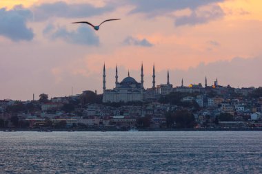 Günbatımında feribottan İstanbul manzarası. Gökyüzü bulutlu Mavi Cami ve Martı.