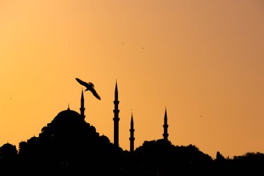 Ramazan veya İslami konsept fotoğraf. Gün batımında martılı Süleyman Camii 'nin silueti.