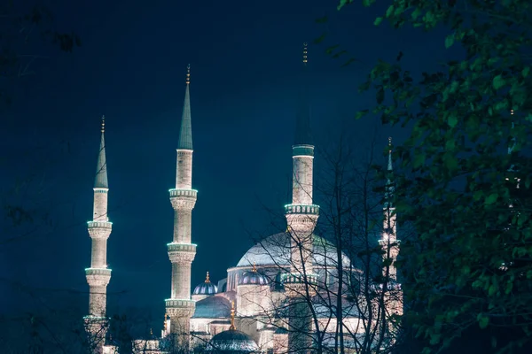 Sultanahmet Camii Mosquée Bleue Vue Nuit Visitez Istanbul Photo Fond Images De Stock Libres De Droits