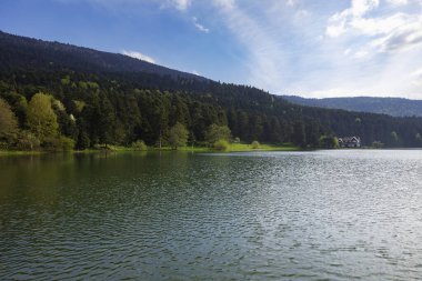 Bolu Golcuk Doğa Parkı göl ve orman manzaralı. Türkiye konsept fotoğrafını ziyaret et.