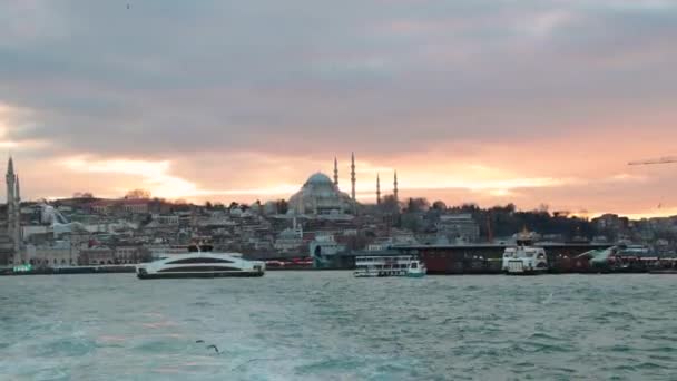Istanbul Utsikt Från Färja Med Suleymaniye Moskén Och Måsar Istanbul — Stockvideo