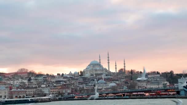 Måsar Och Istanbul Utsikt Från Färja Slow Motion Video Istanbul — Stockvideo