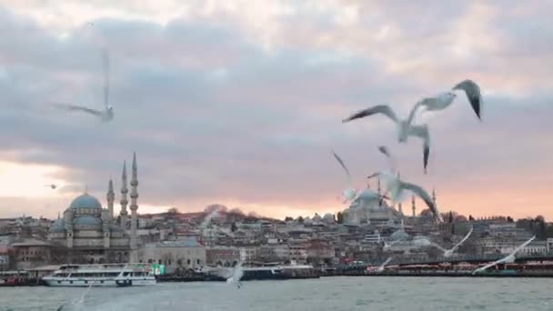 Istanbul Utsikt Från Färja Vid Solnedgången Måsar Och Stadsbilden Eminonu — Stockvideo