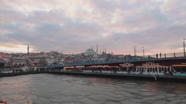 Mann Mater Måkene Fra Ferge Istanbul Galata Broen Suleymaniye Moskeen – stockvideo