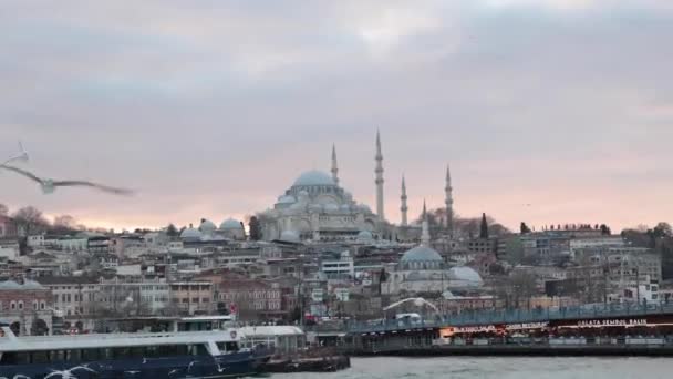 Istanbul Uitzicht Vanaf Een Veerboot Met Suleymaniye Moskee Meeuwen Istanbul — Stockvideo