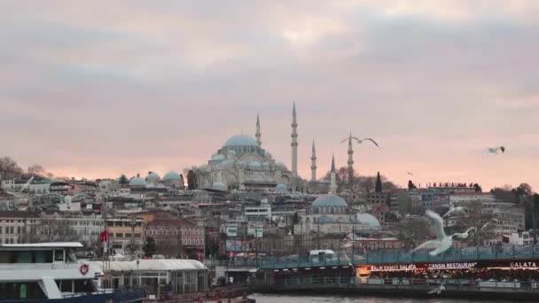 Istanbul Utsikt Solnedgången Från Färja Suleymaniye Moskén Och Galatabron Med — Stockvideo