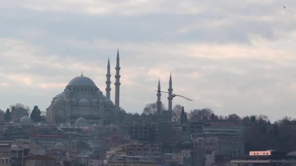 이스탄불 비디오 Suleymaniye 모스크와 하늘과 — 비디오