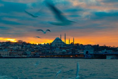 İstanbul manzarası gün batımında. Seleymaniye Camii ve Galata Köprüsü Hareket bulanıklığı olan martılar.