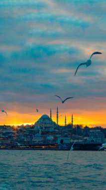Gün batımında Süleyman Camii ve gökyüzünde martılar. İstanbul 'un arka plan dikey fotoğrafını ziyaret edin. Ramazan veya İslami kavram.