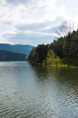 Orman ve göl manzarası, dikey çekimde bulutlu gökyüzü. Türkiye 'deki Bolu Golcuk Doğa Parkı.