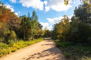 Arka planda parçalı bulutlu gökyüzü olan bir parkta iz sürme veya yürüyüş yapmak.