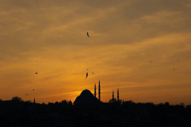 Süleyman Camii 'nin silueti ve oltada balıklar. Ramazan veya İslami kavram.