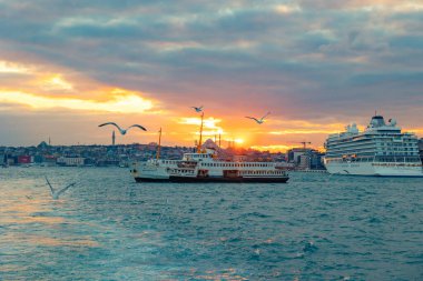 Gün batımında feribot ve martılar. Süleyman Camii ve arka planda bir yolcu gemisi. İstanbul konsept fotoğrafını ziyaret edin. İstanbul Türkiye - 1.22.2024